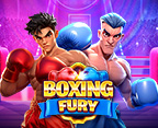 Boxing Fury