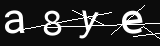 verifycode